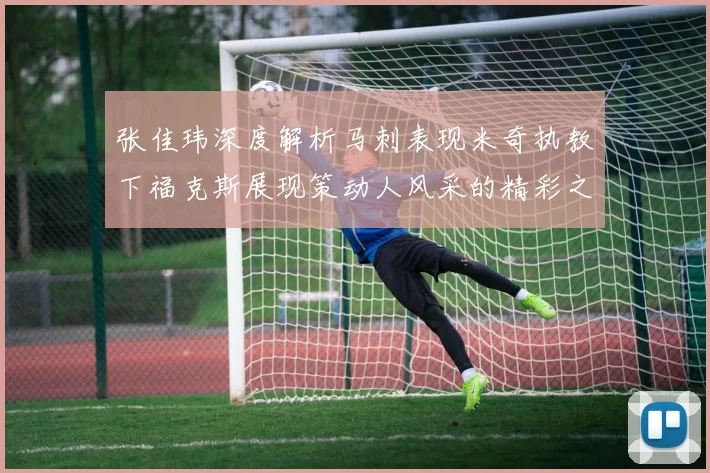 张佳玮深度解析马刺表现米奇执教下福克斯展现策动人风采的精彩之战
