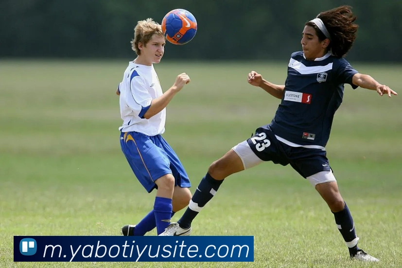 亚博体育APP 封面图